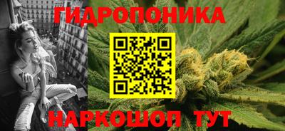 стафф Усть-Илимск
