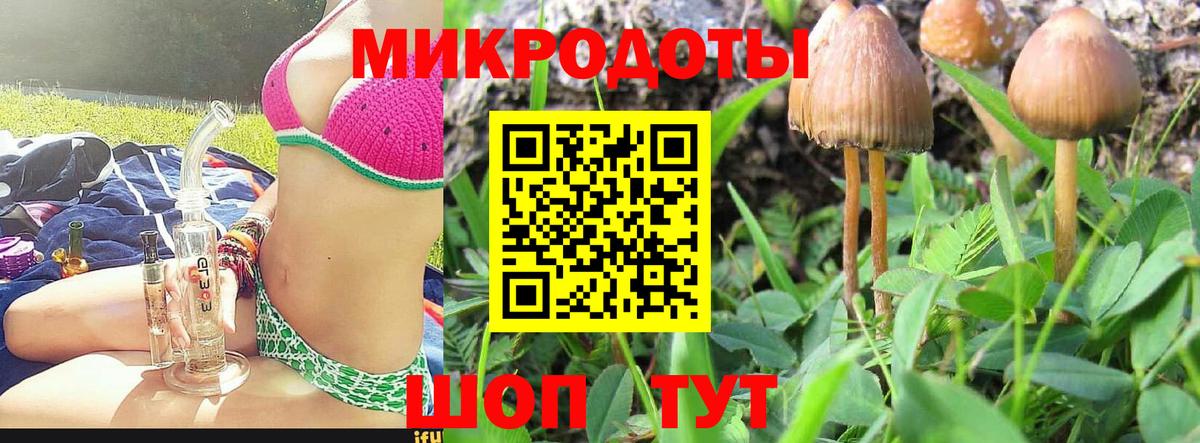 Псилоцибиновые грибы мицелий  Галлюциногенные грибы Psilocybe  Белгород  Вход с VPN 